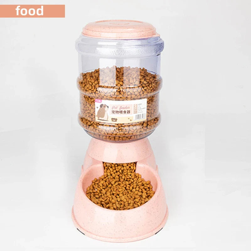 How Choosing Right Pet Dishes Improves Pet Health