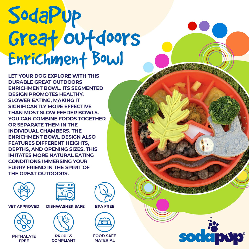 - Slow Feeder Dog Bowl