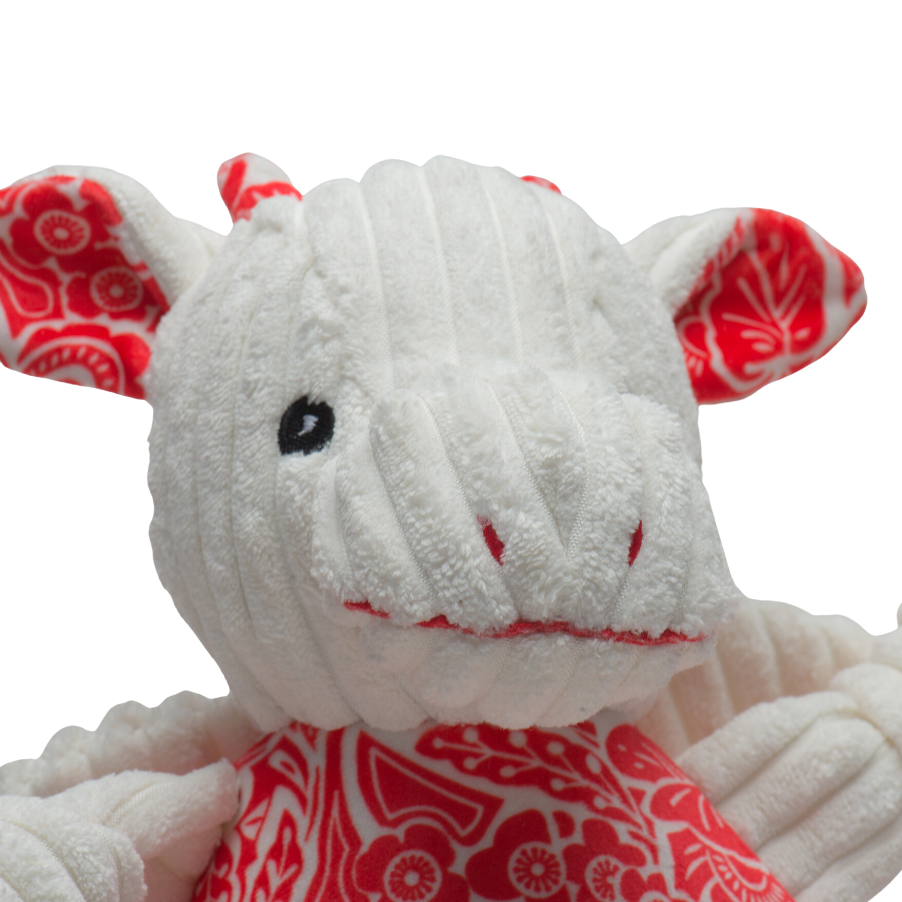 Lucky Dragon Dog Toy