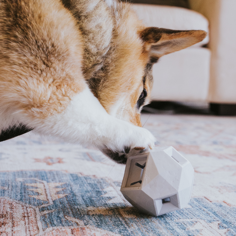 Odin Treat Dispensing Toy For Dogs