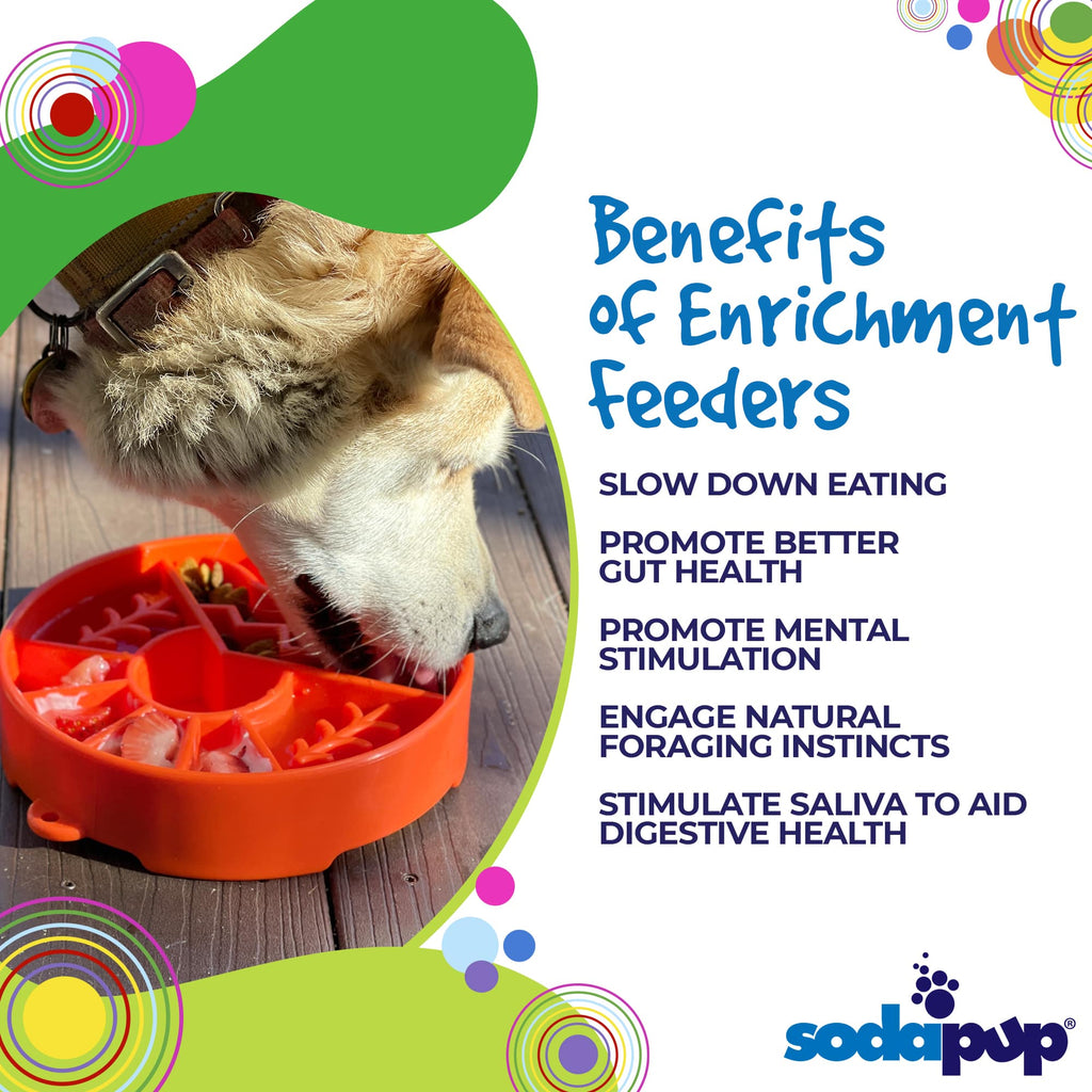 - Slow Feeder Dog Bowl