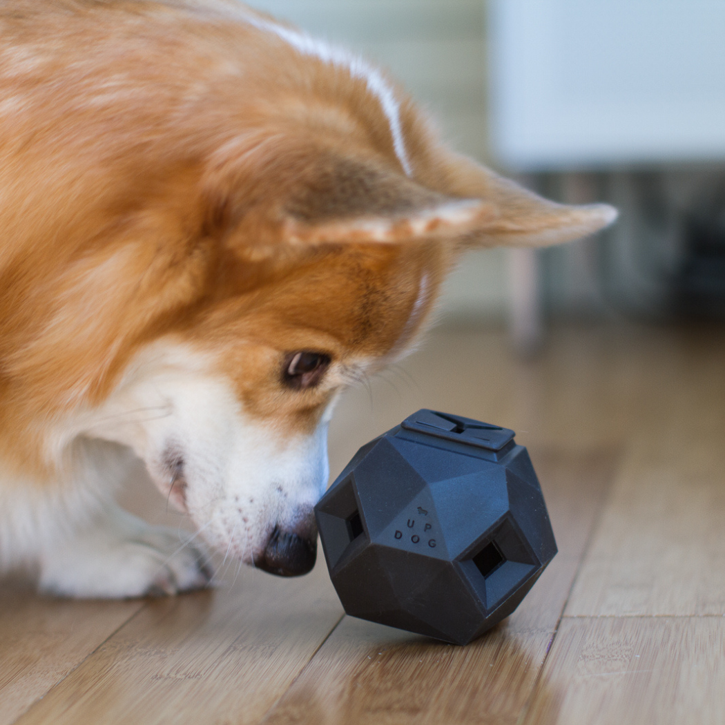 Odin Treat Dispensing Toy For Dogs