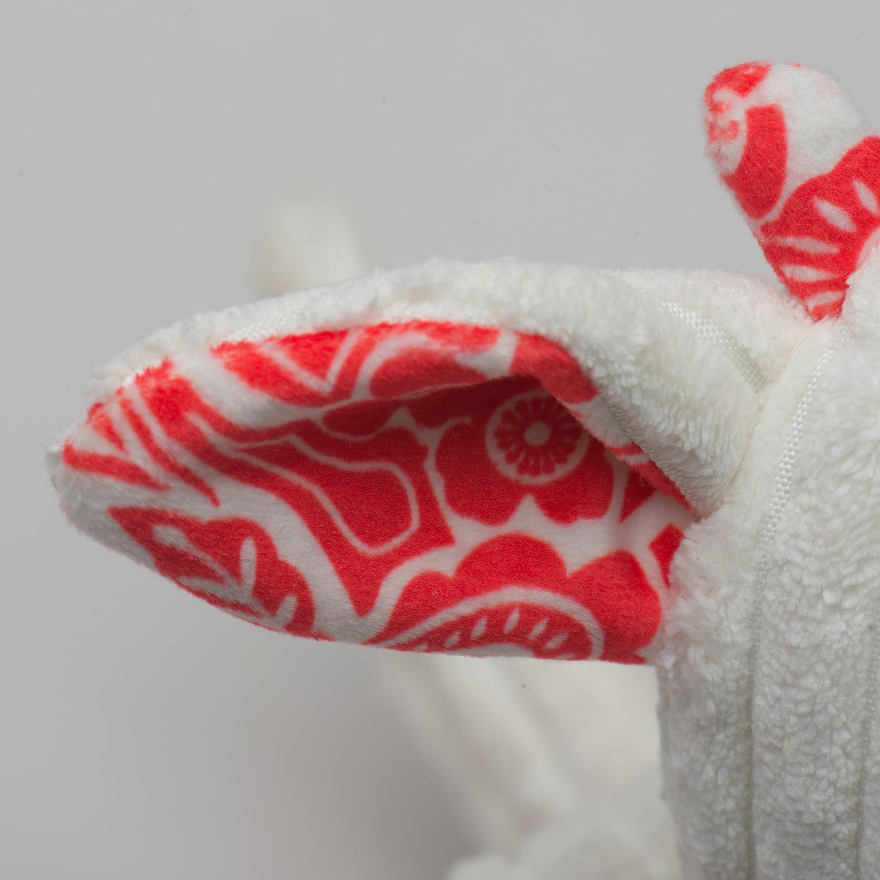 Lucky Dragon Dog Toy