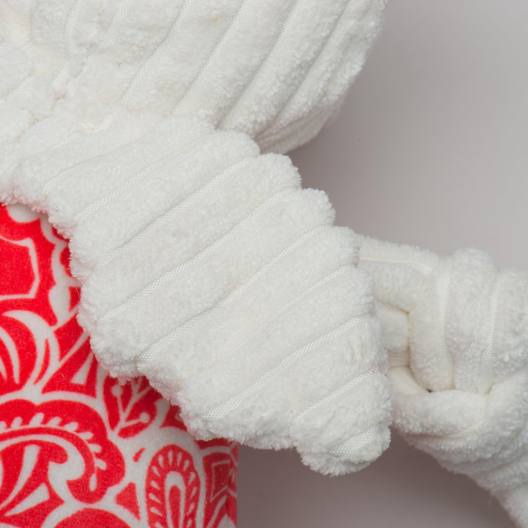 Lucky Dragon Dog Toy