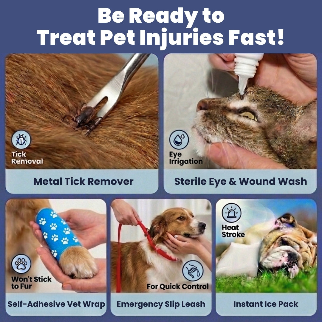 Vet Approved Pet First Aid Kit for Dogs & Cats