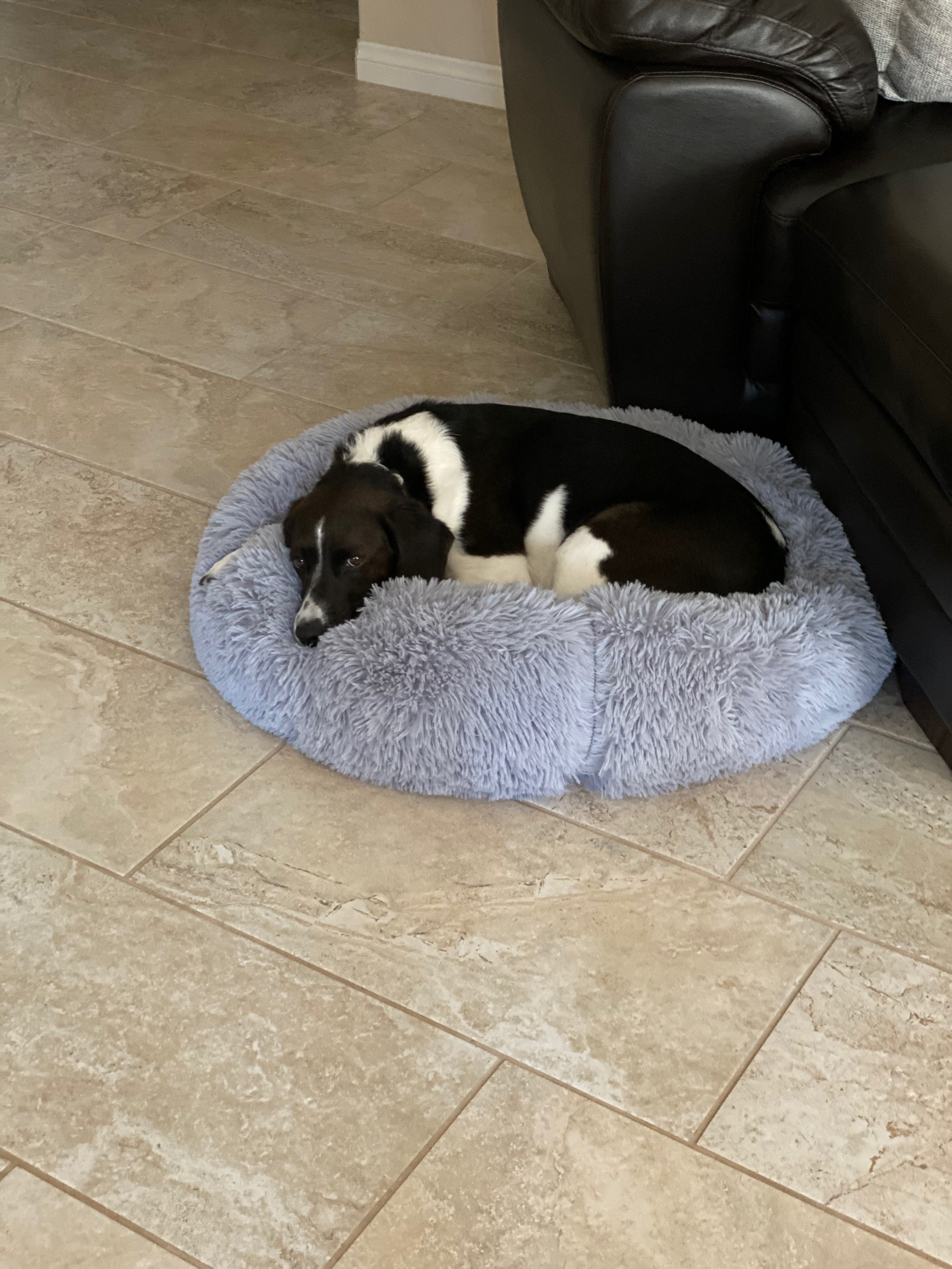 Mr. Peanut's 28" OrthoPlush® Pet Bed