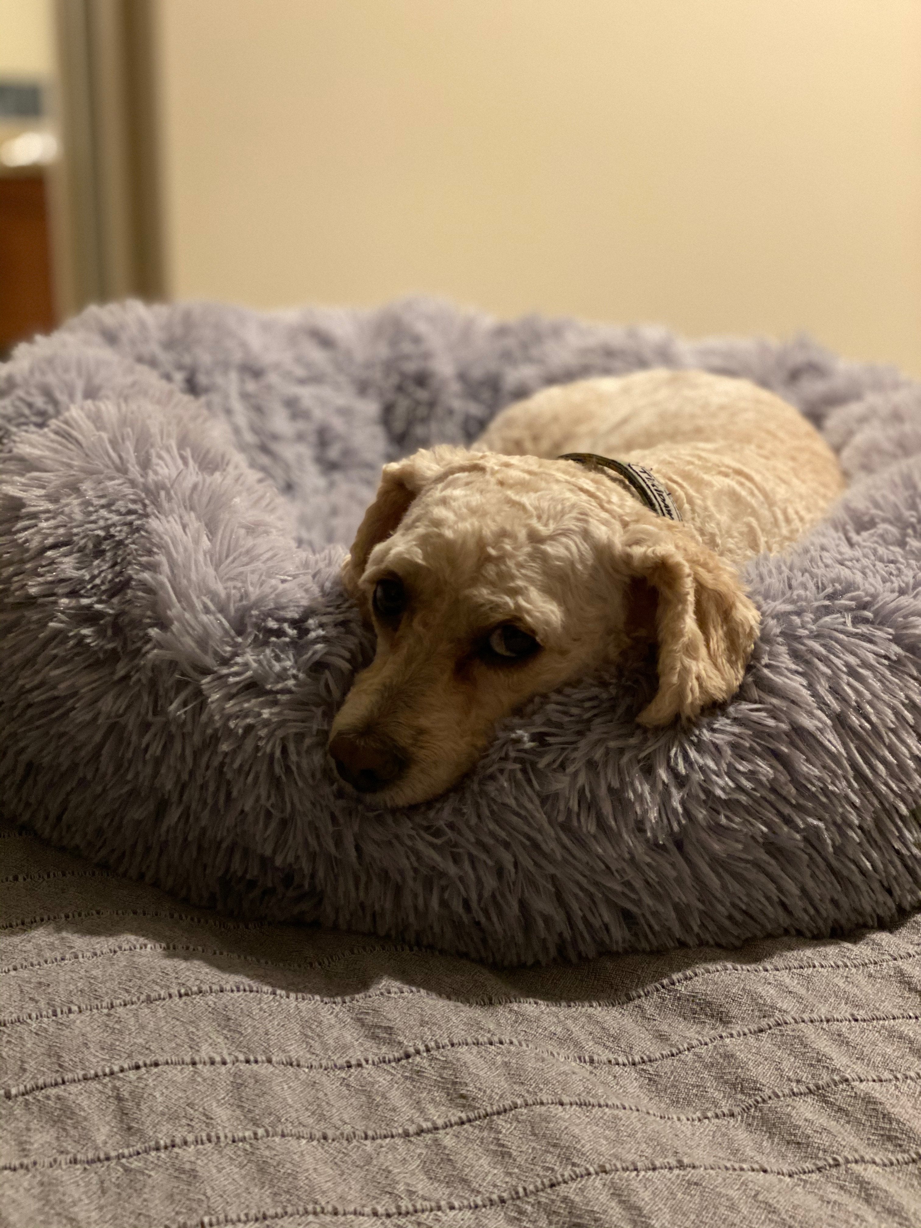 Mr. Peanut's 28" OrthoPlush® Pet Bed