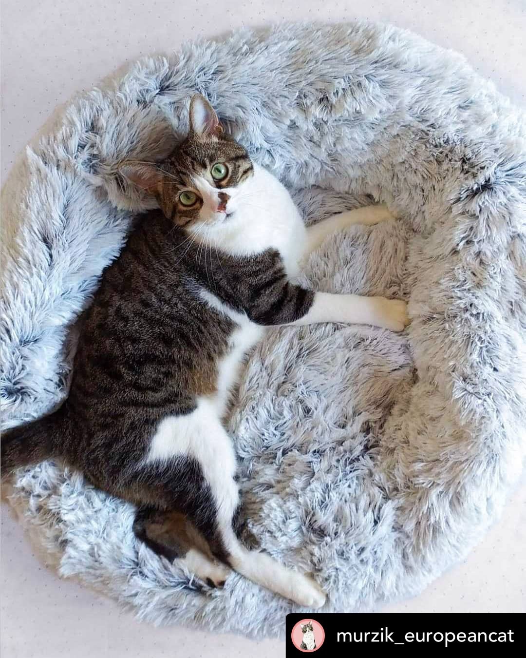 Mr. Peanut's 28" OrthoPlush® Pet Bed