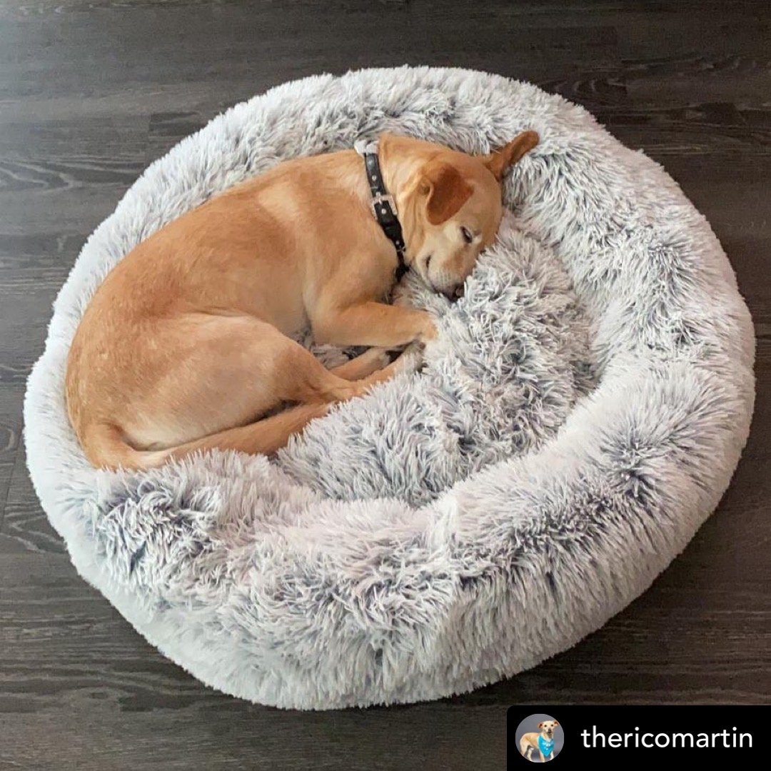Mr. Peanut's 28" OrthoPlush® Pet Bed