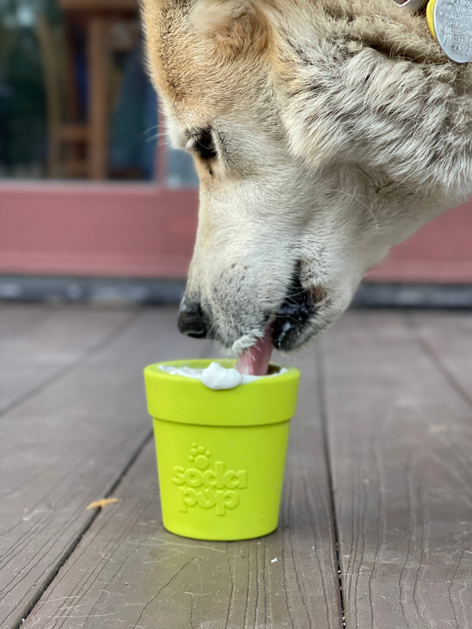 Large Flower Pot eCup Dog Treat Dispenser
