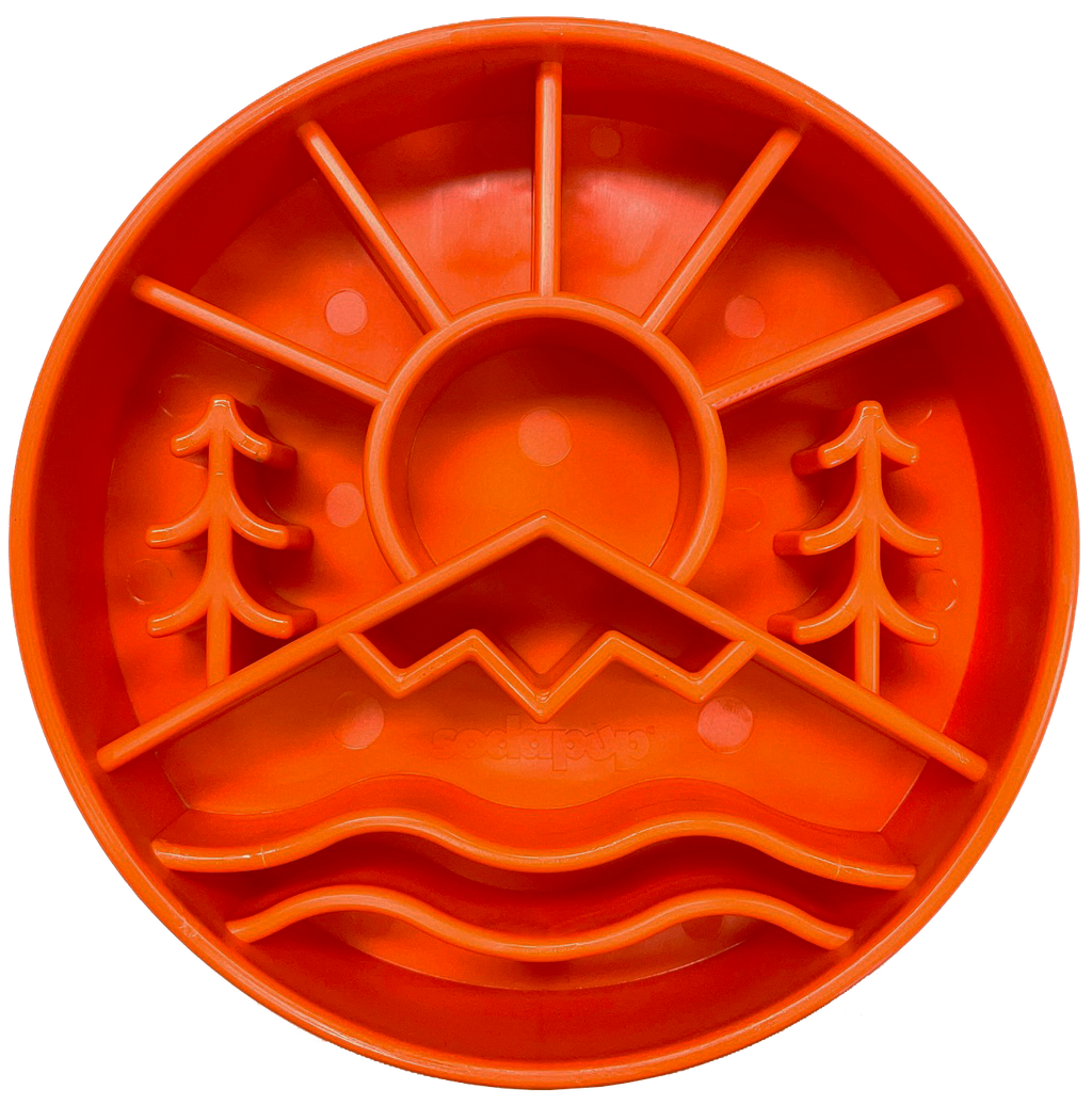- Slow Feeder Dog Bowl
