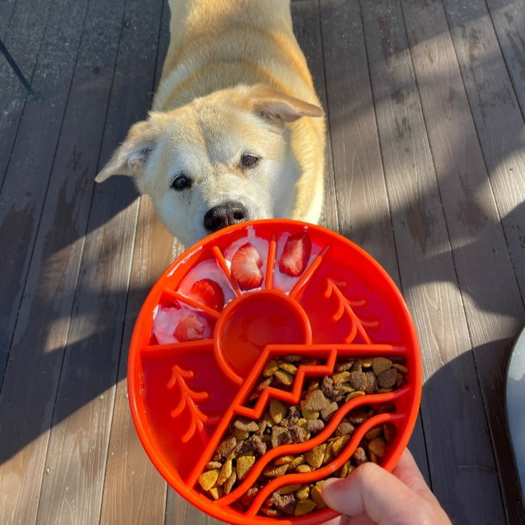 - Slow Feeder Dog Bowl