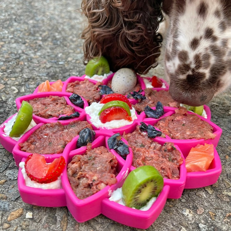 Mandala eTray Shallow Slow Feeder Dog