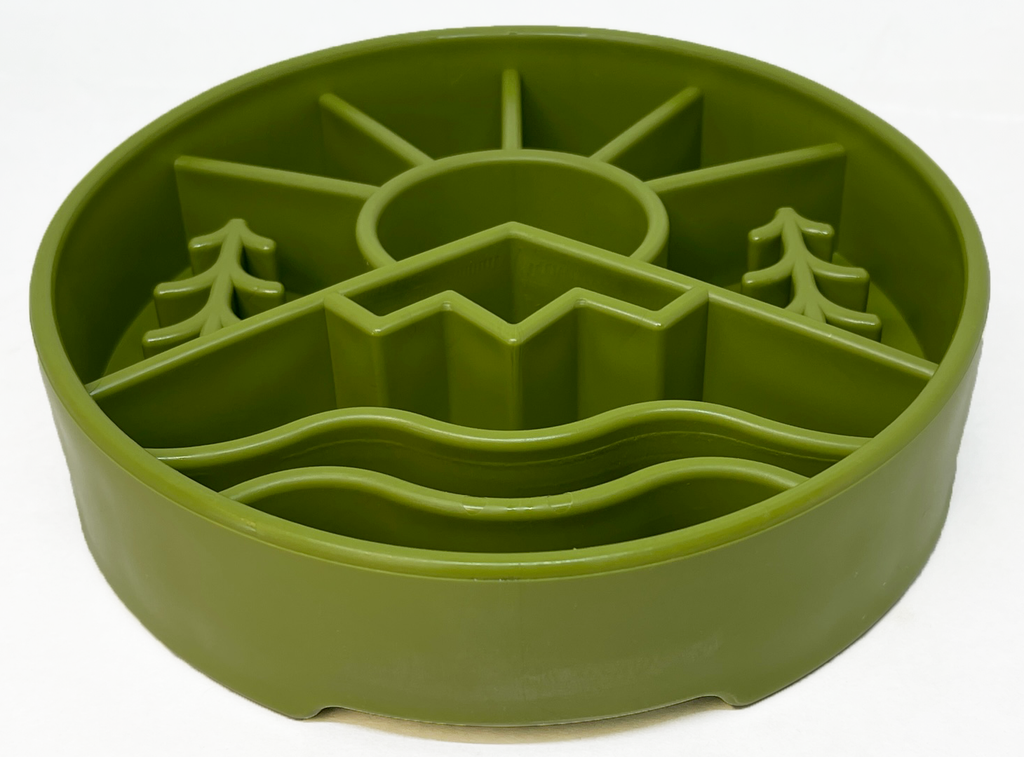 - Slow Feeder Dog Bowl