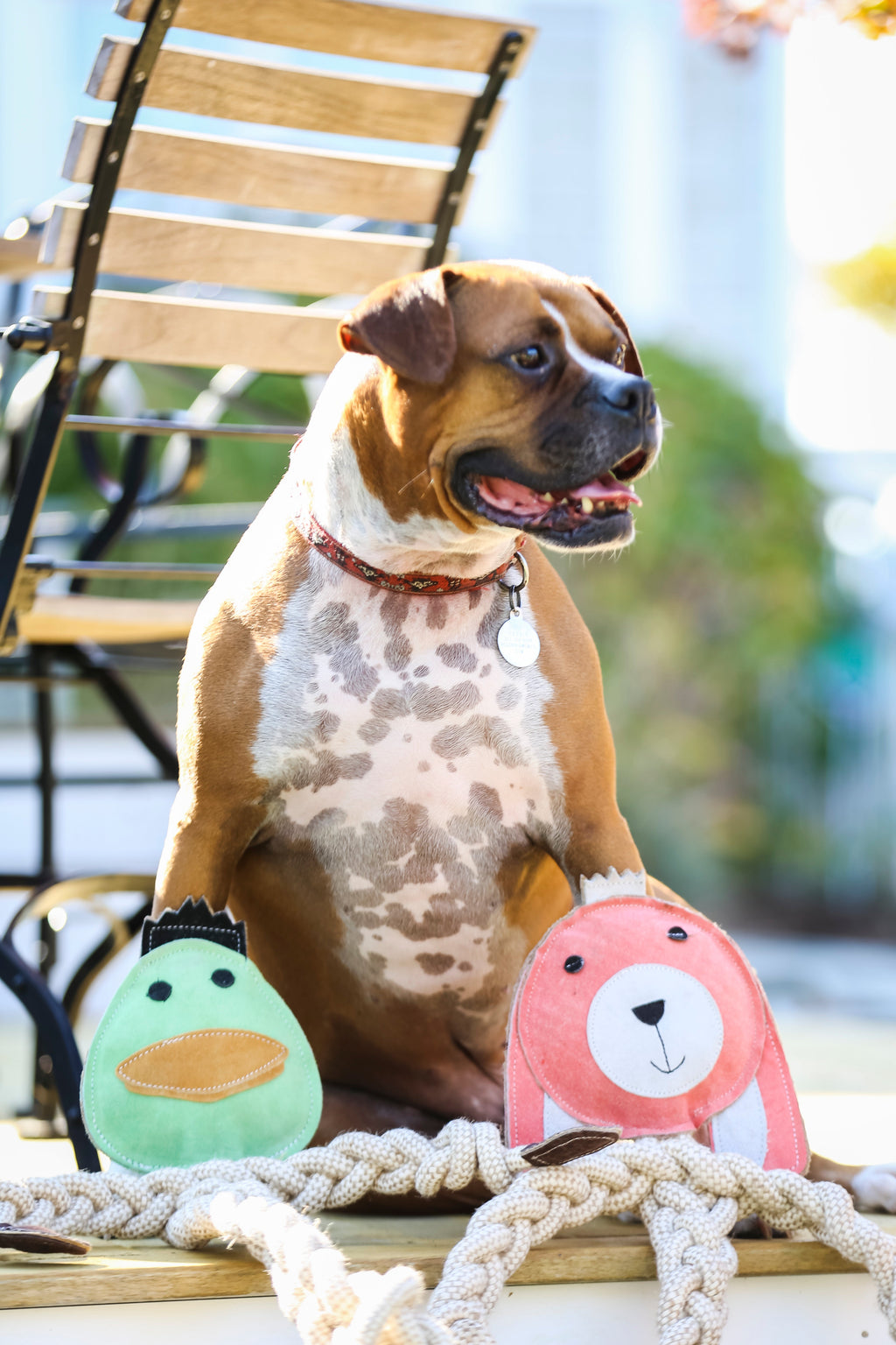 Bitsy Bunny Natural Rope Knottie® Dog Toy
