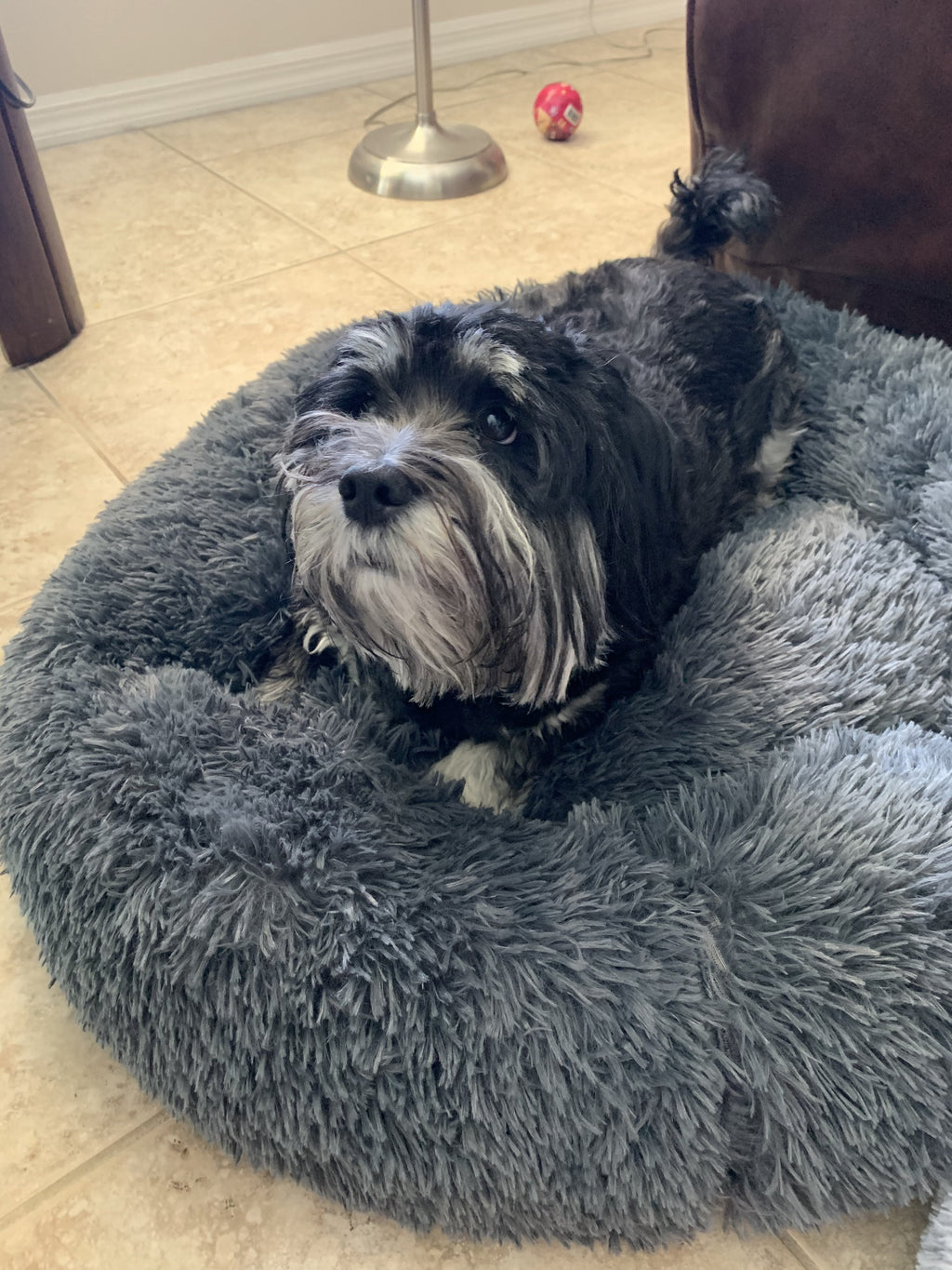 Mr. Peanut's 28" OrthoPlush® Pet Bed