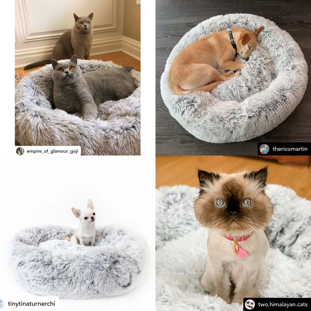 Mr. Peanut's 28" OrthoPlush® Pet Bed
