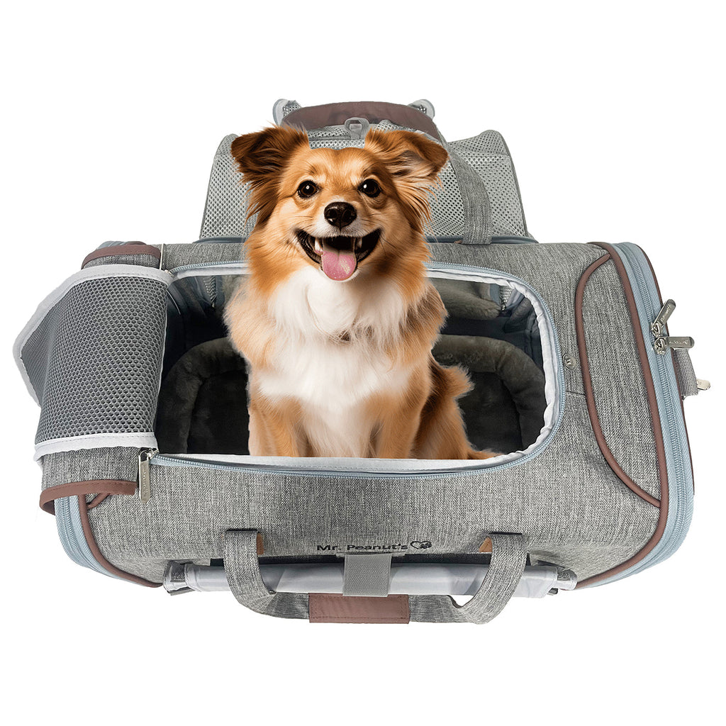 Standard Size Airline Compliant Expandable Pet Carrier V3.0