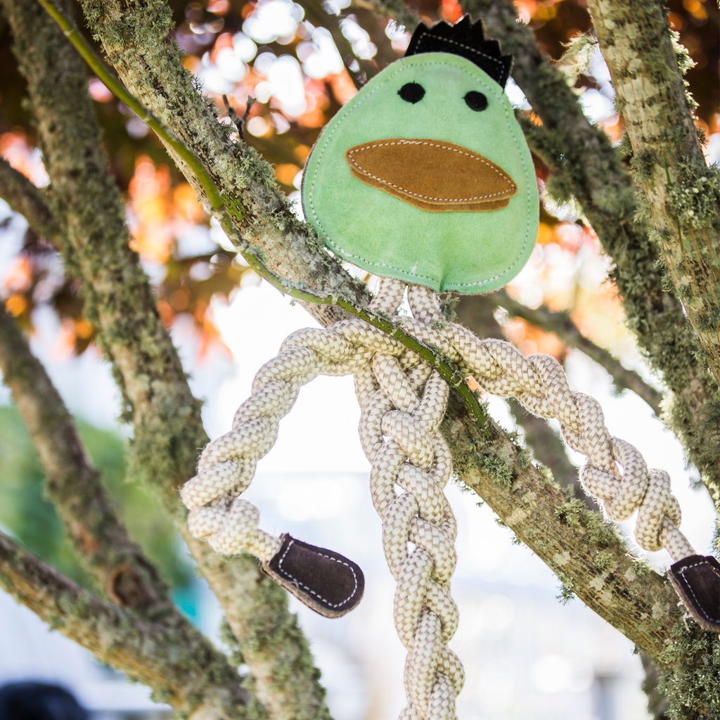Dilly Duck Natural Rope Knottie® Dog Toy