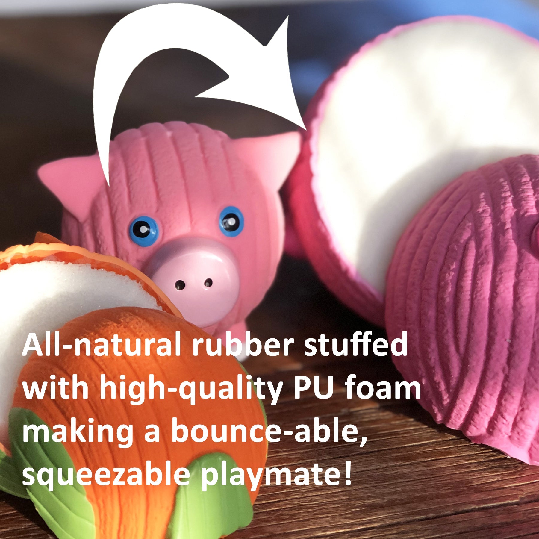 Matty Mail Carrier Ruff-Tex® Dog Toy