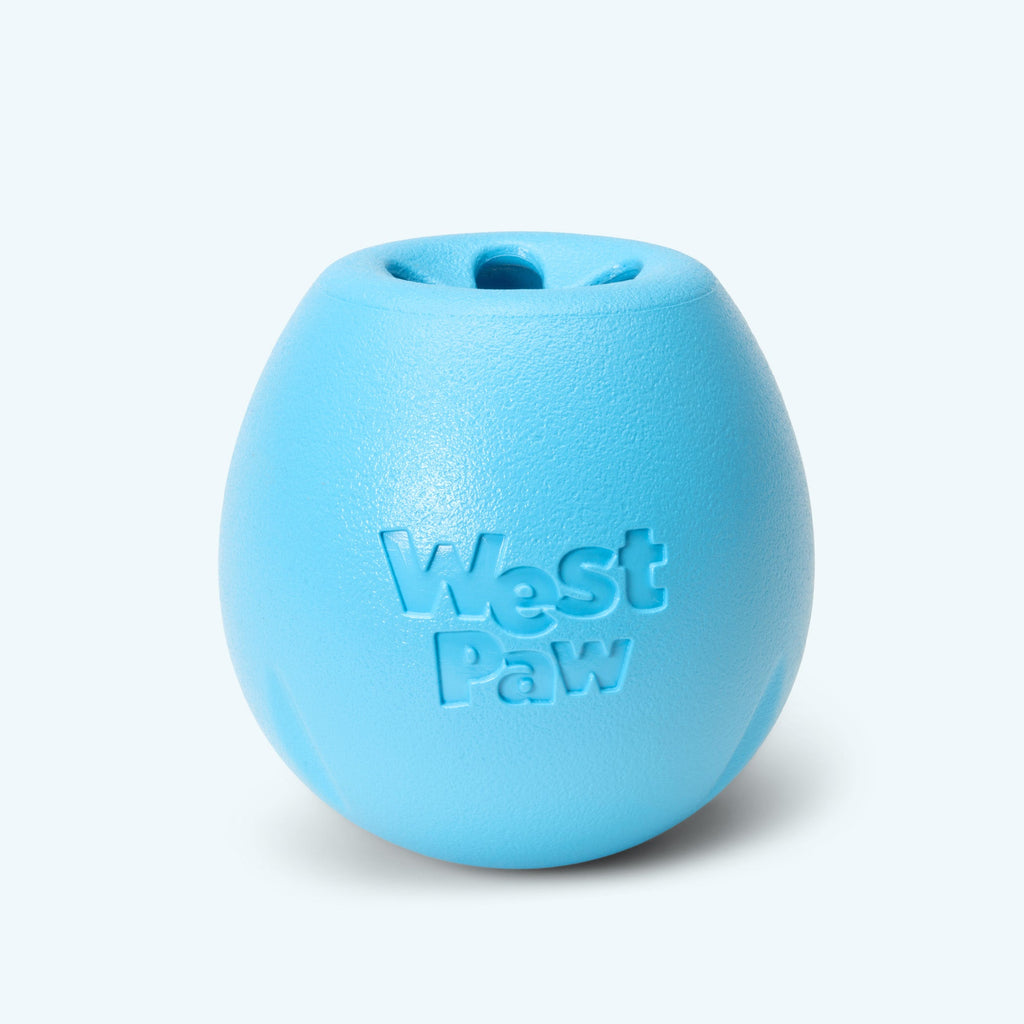 Rumbl dry treat dispenser