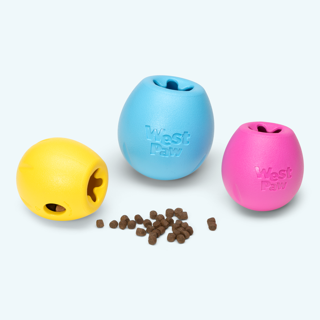Rumbl dry treat dispenser