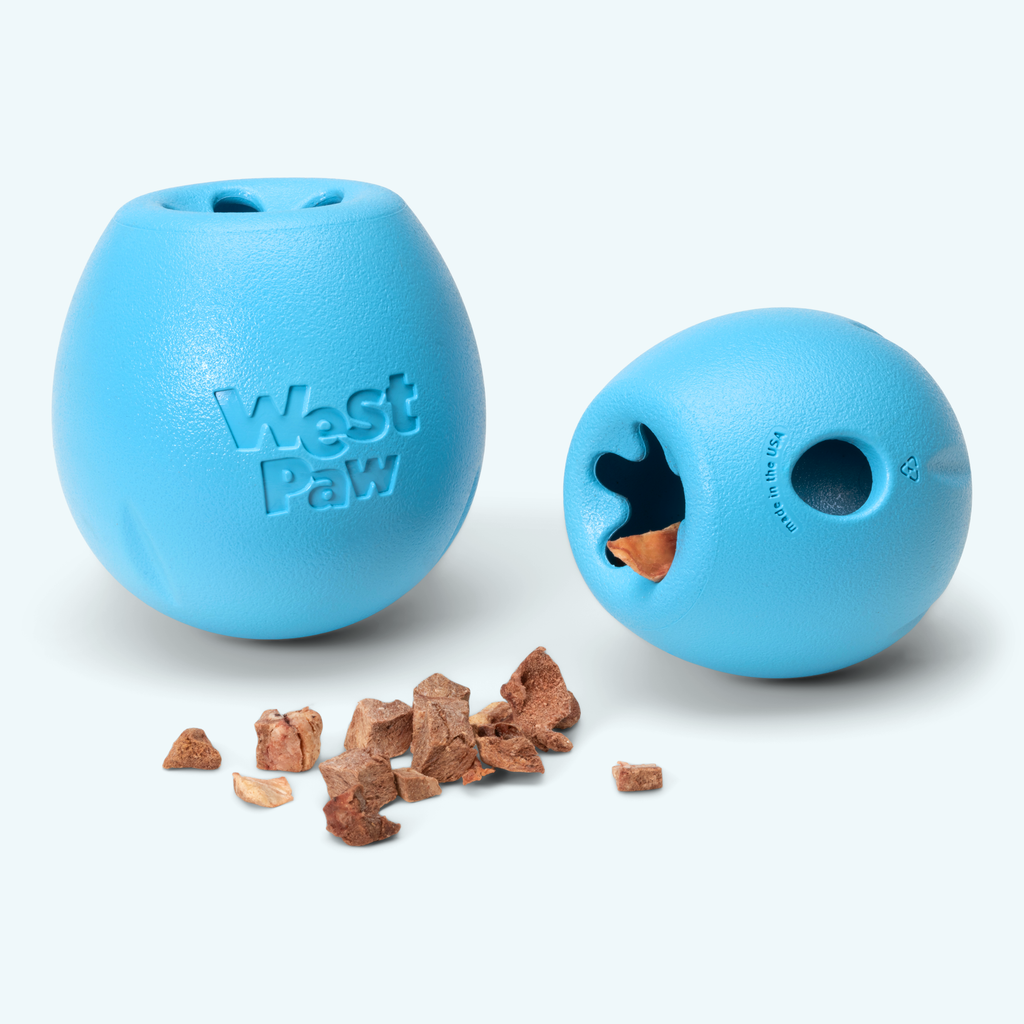 Rumbl dry treat dispenser