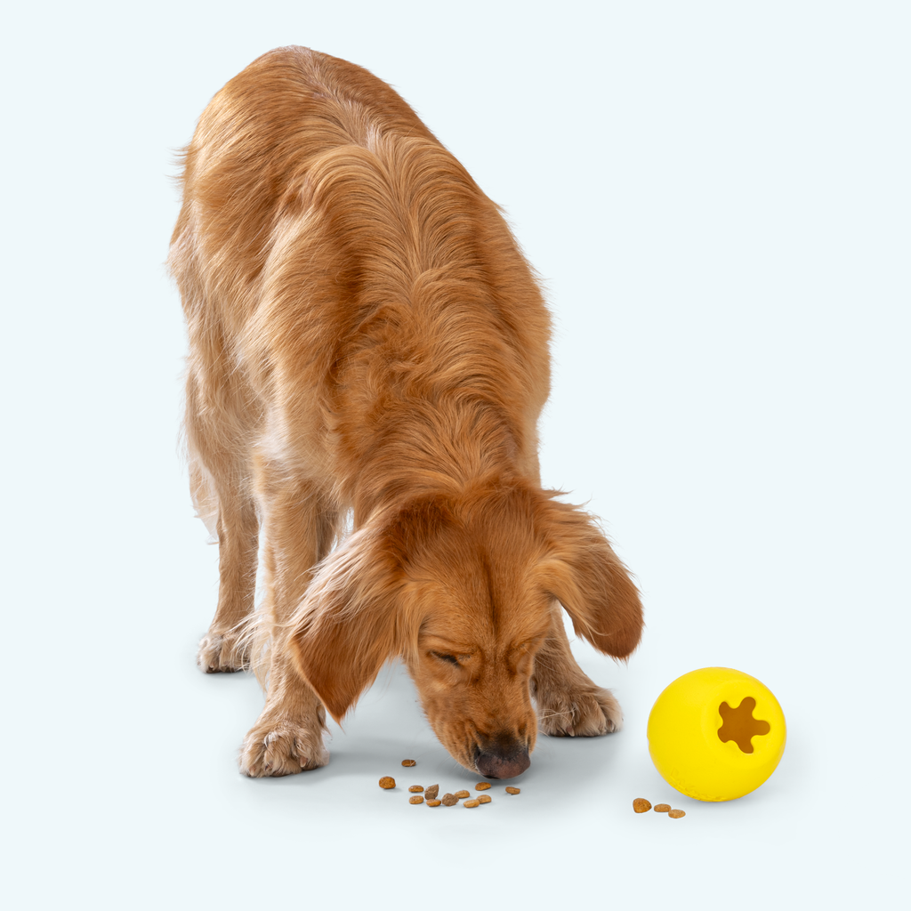 Rumbl dry treat dispenser