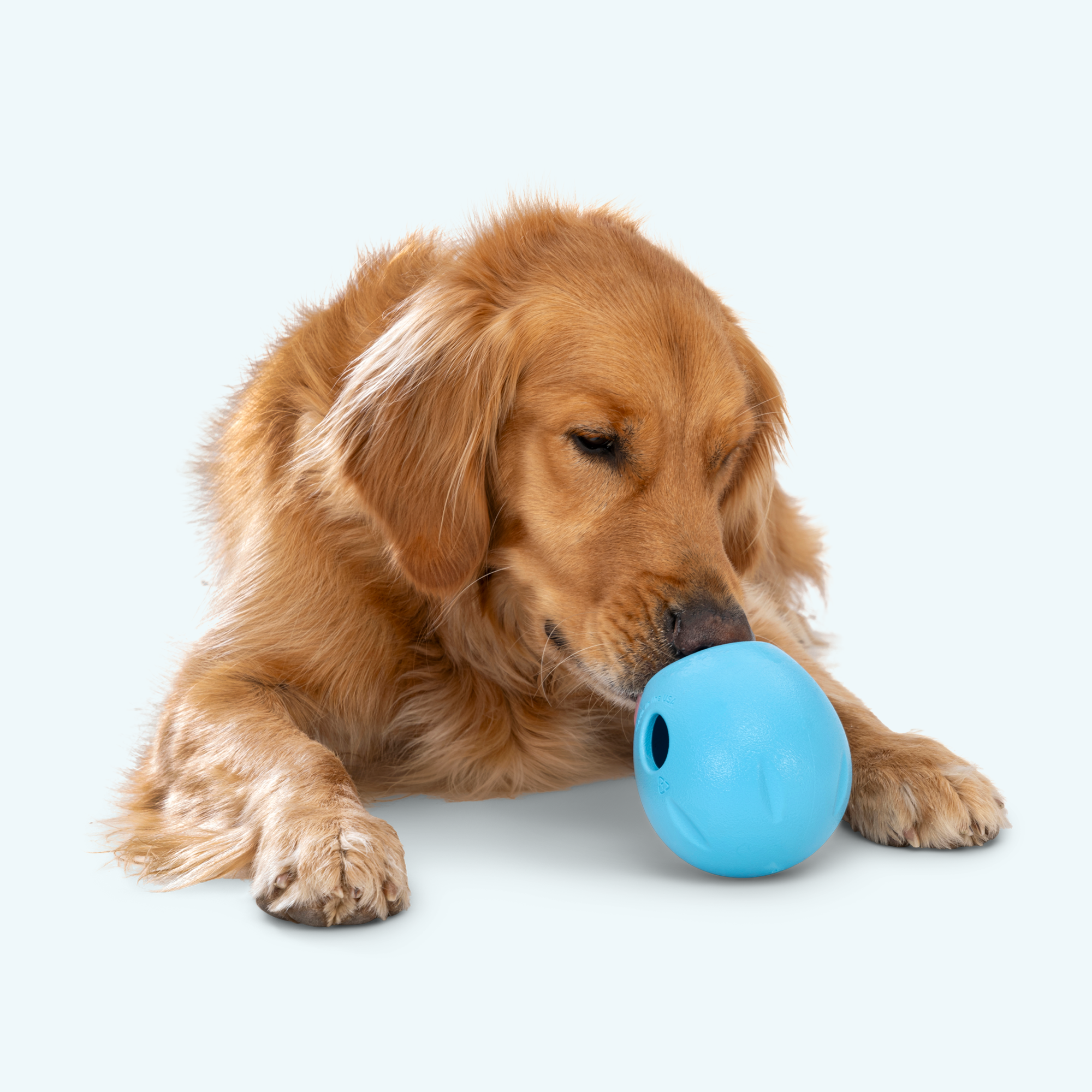 Rumbl dry treat dispenser