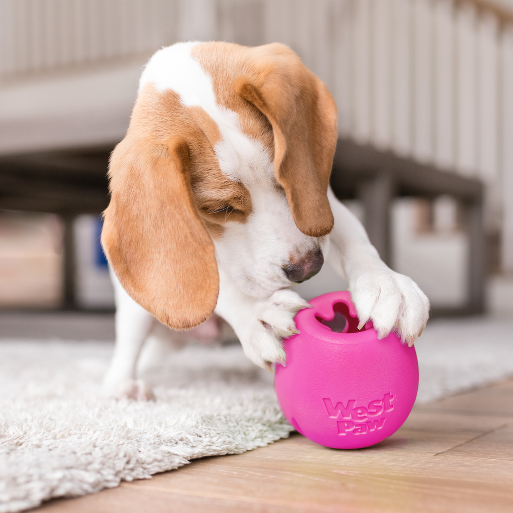 Rumbl dry treat dispenser