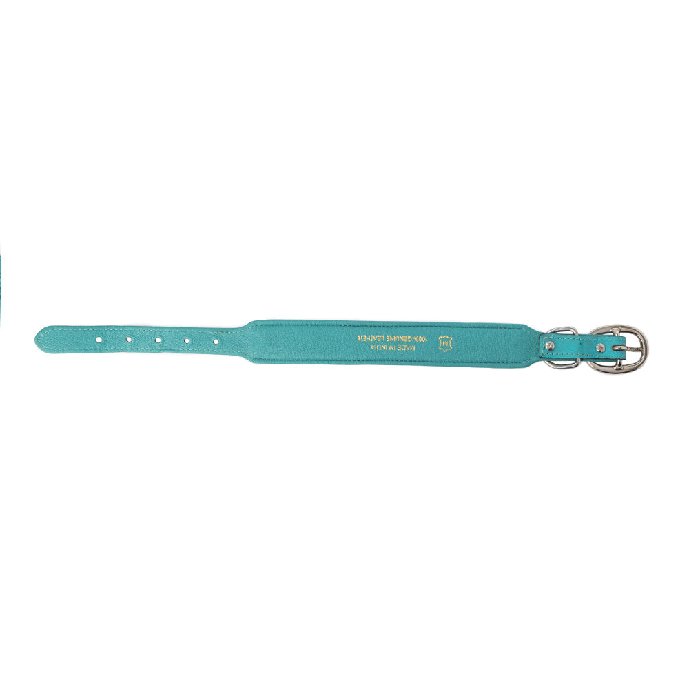 Turquoise Sky Southwest Dog Collar