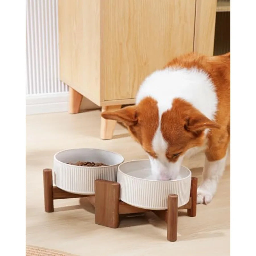 Ceramic Dog Bowls Set with Acacia Wood Stand