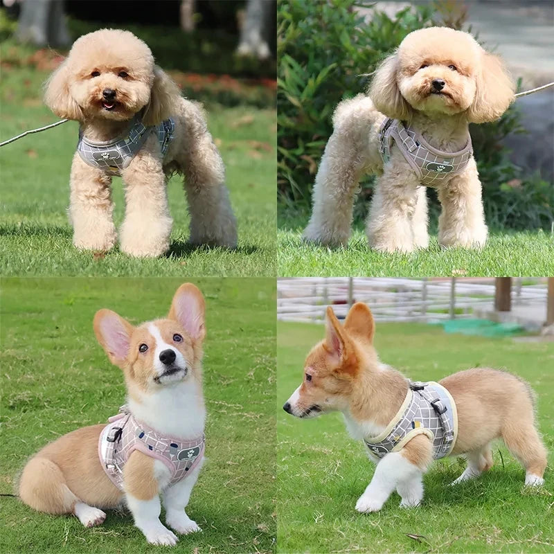 Nylon Puppy Harness Vest with Leash