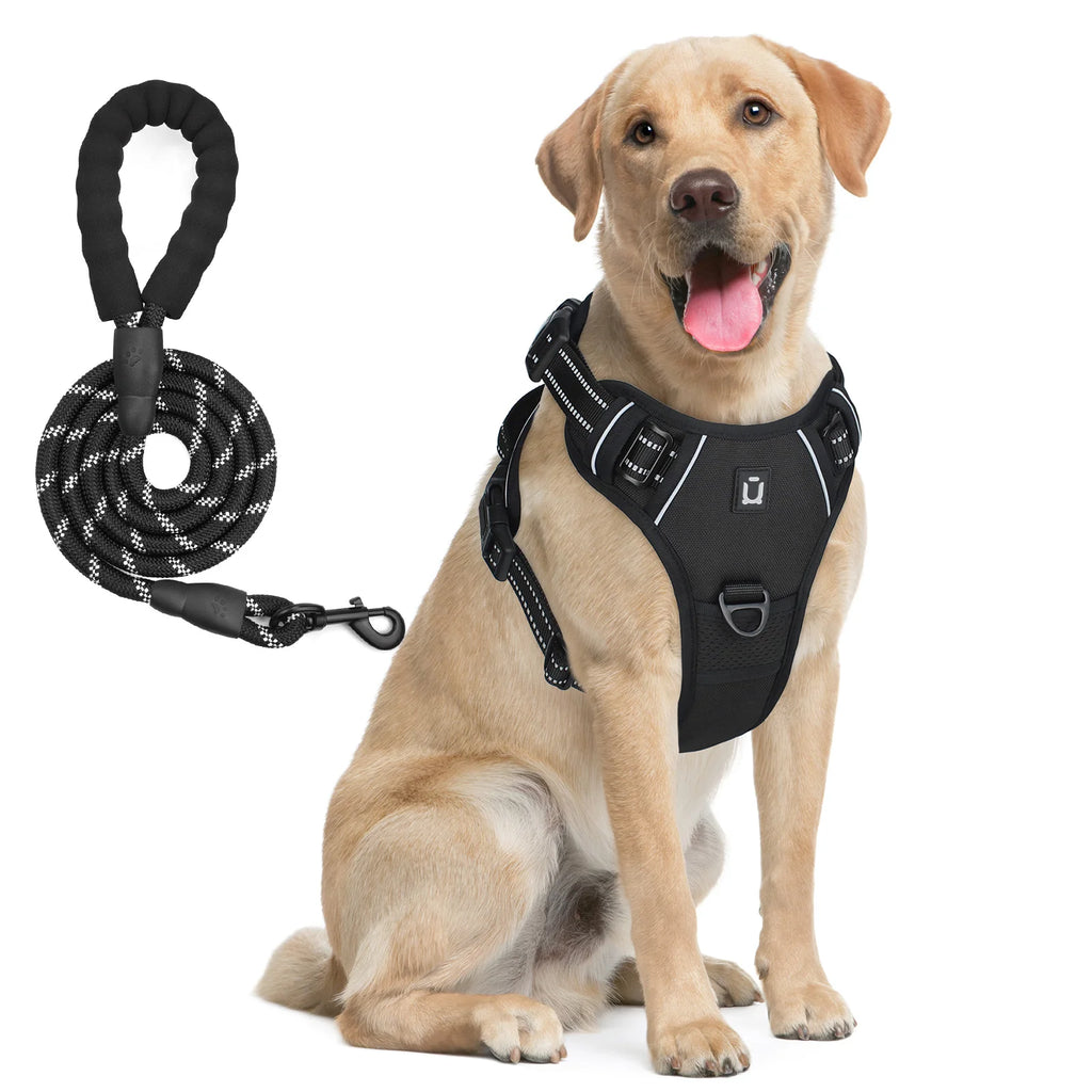 Assorted colors, Dog Harness and Leash Combo, Escape Proof