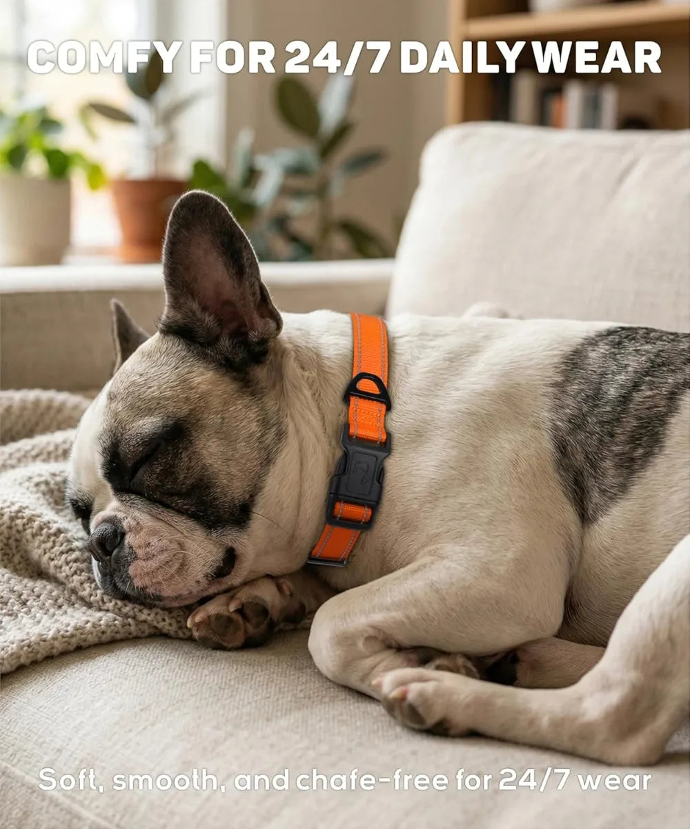 Reflective Nylon Dog Collars,
