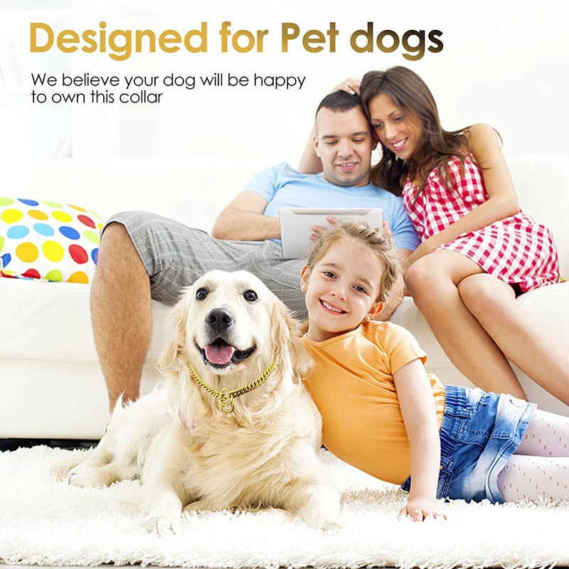 Stainless  Steel W Gold Metal Chain Collar for Large Dog