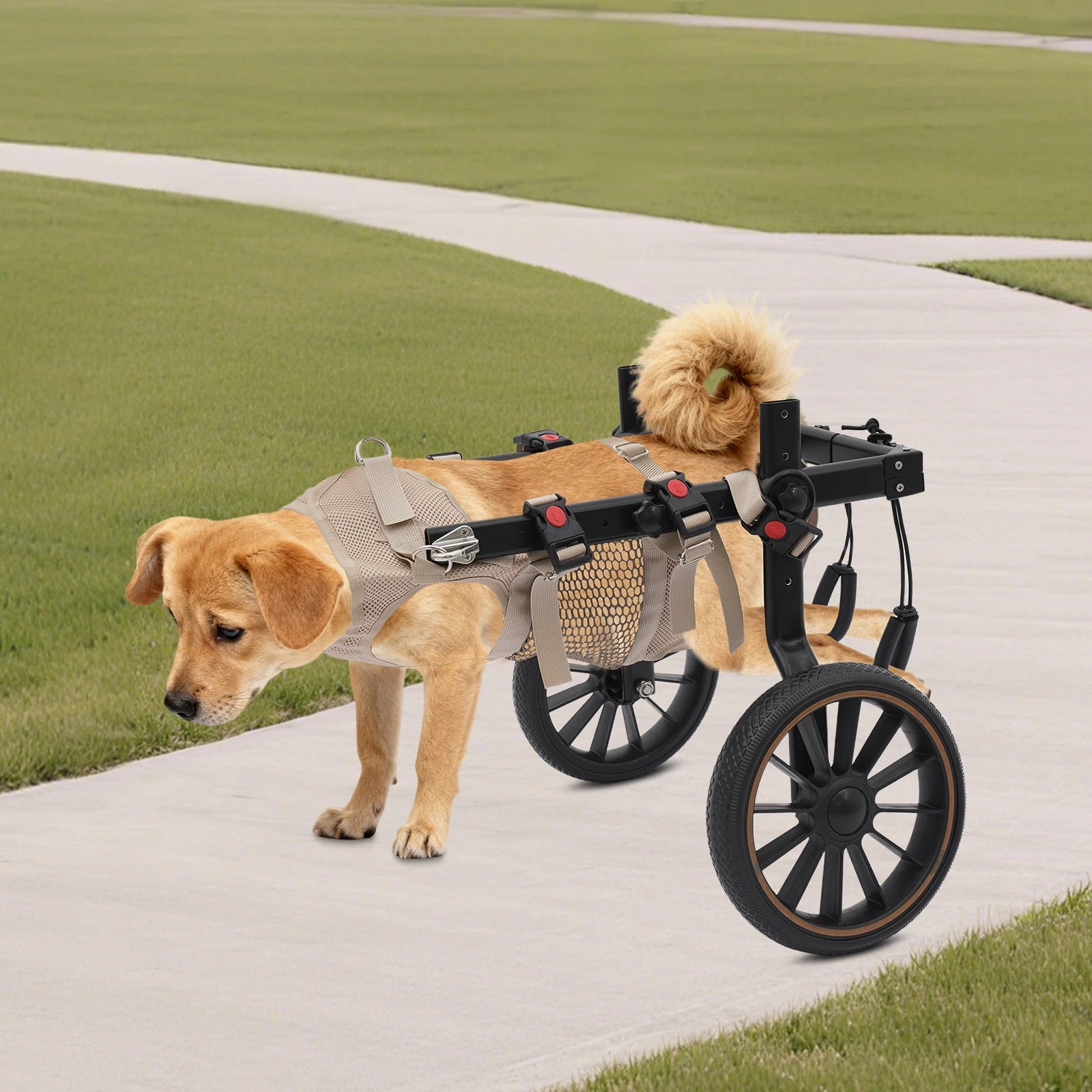 Pet Walking Aid Pet Rehabilitation