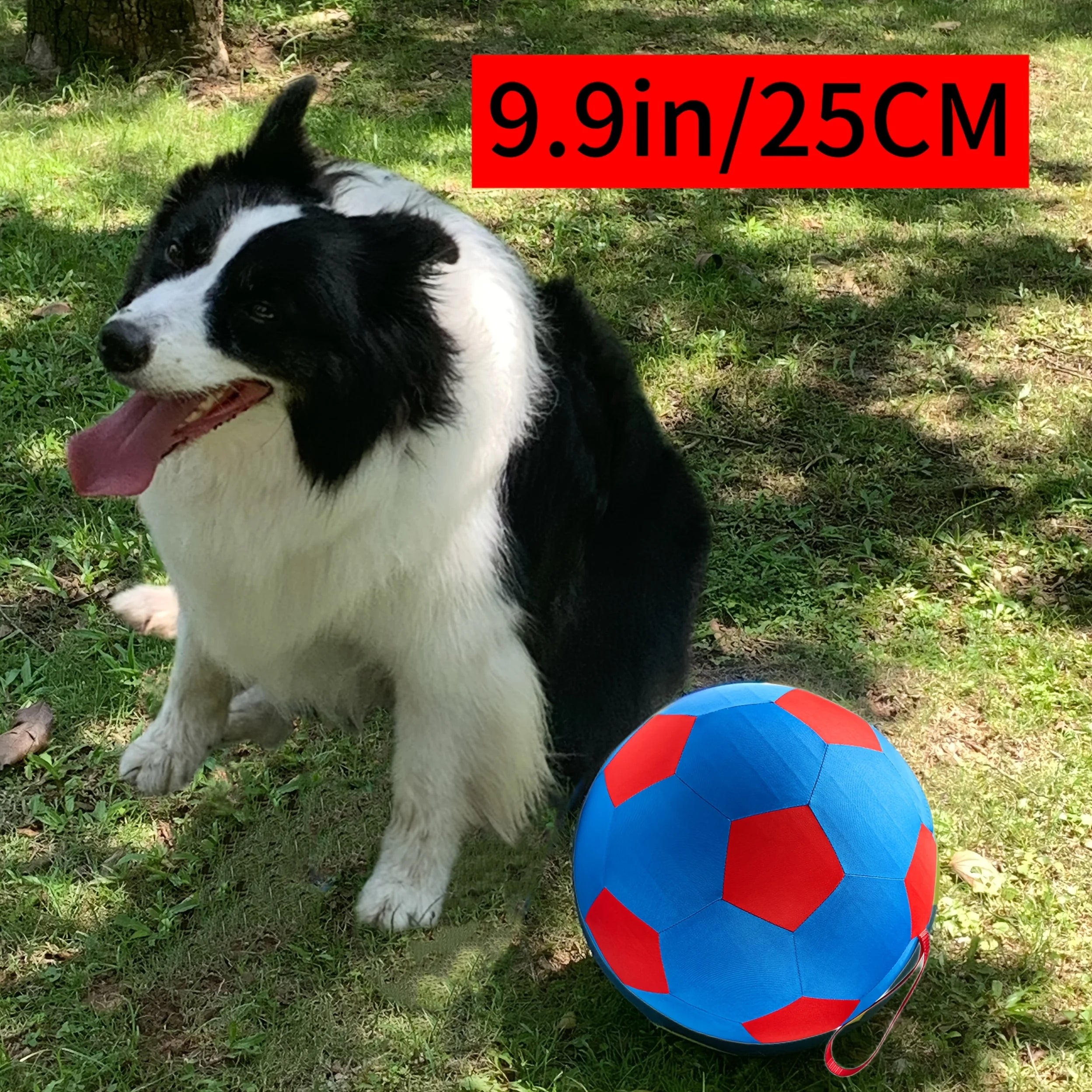 Giant Grazing Ball with Ball Cover