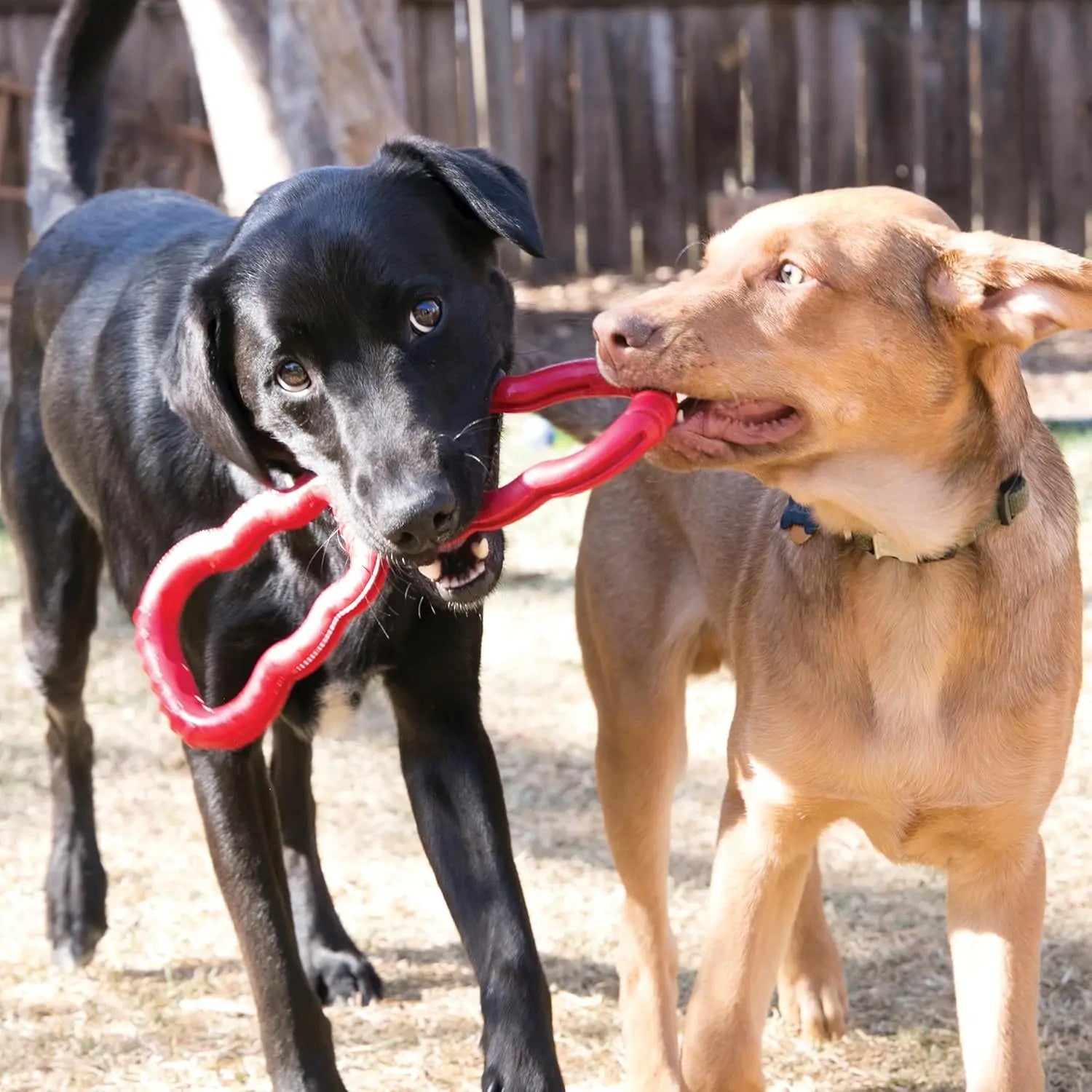 KONG Tug Toy - Dog Supplies for Tug of War -