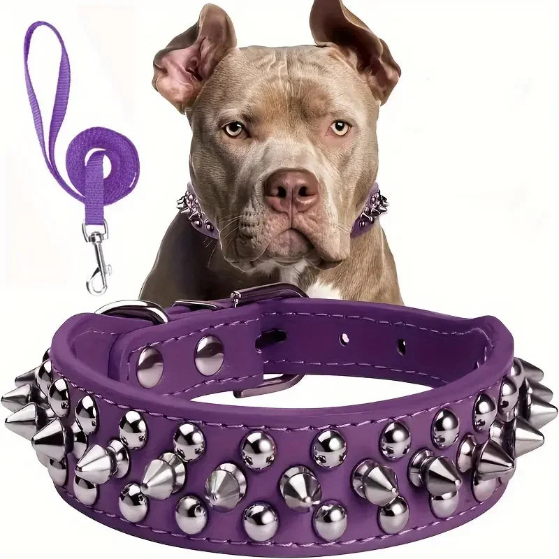 Spiked Dog Collar And Leash Set,