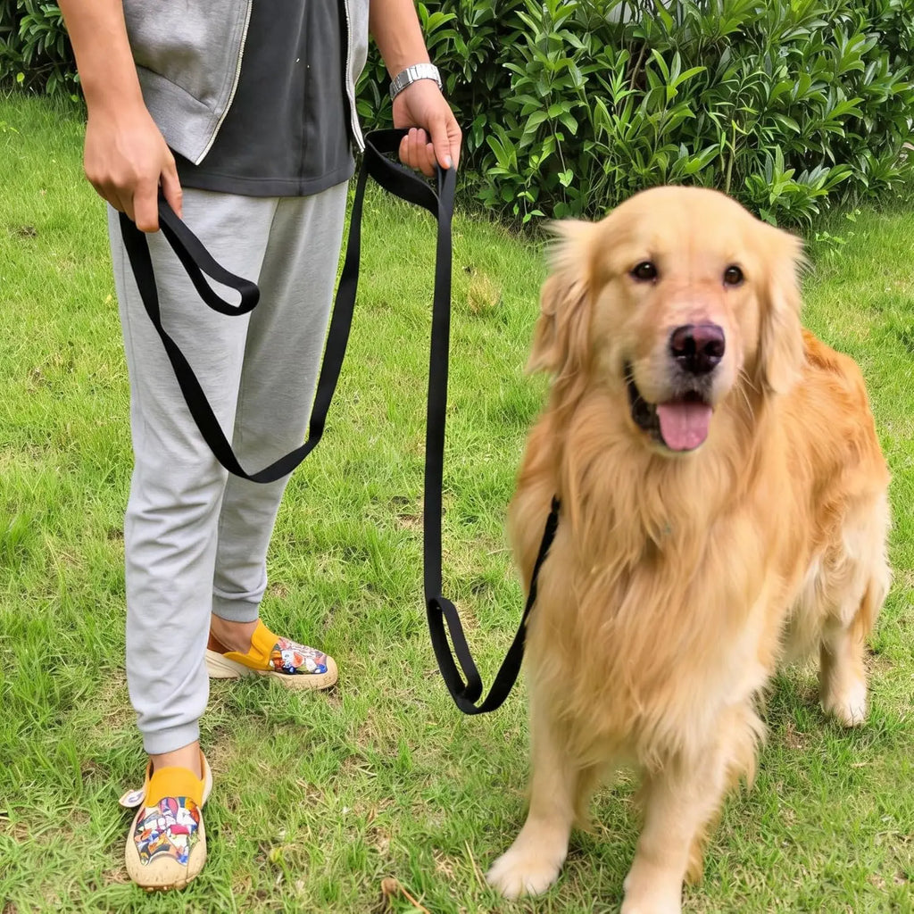 10FT Triple Handle Dog Leash
