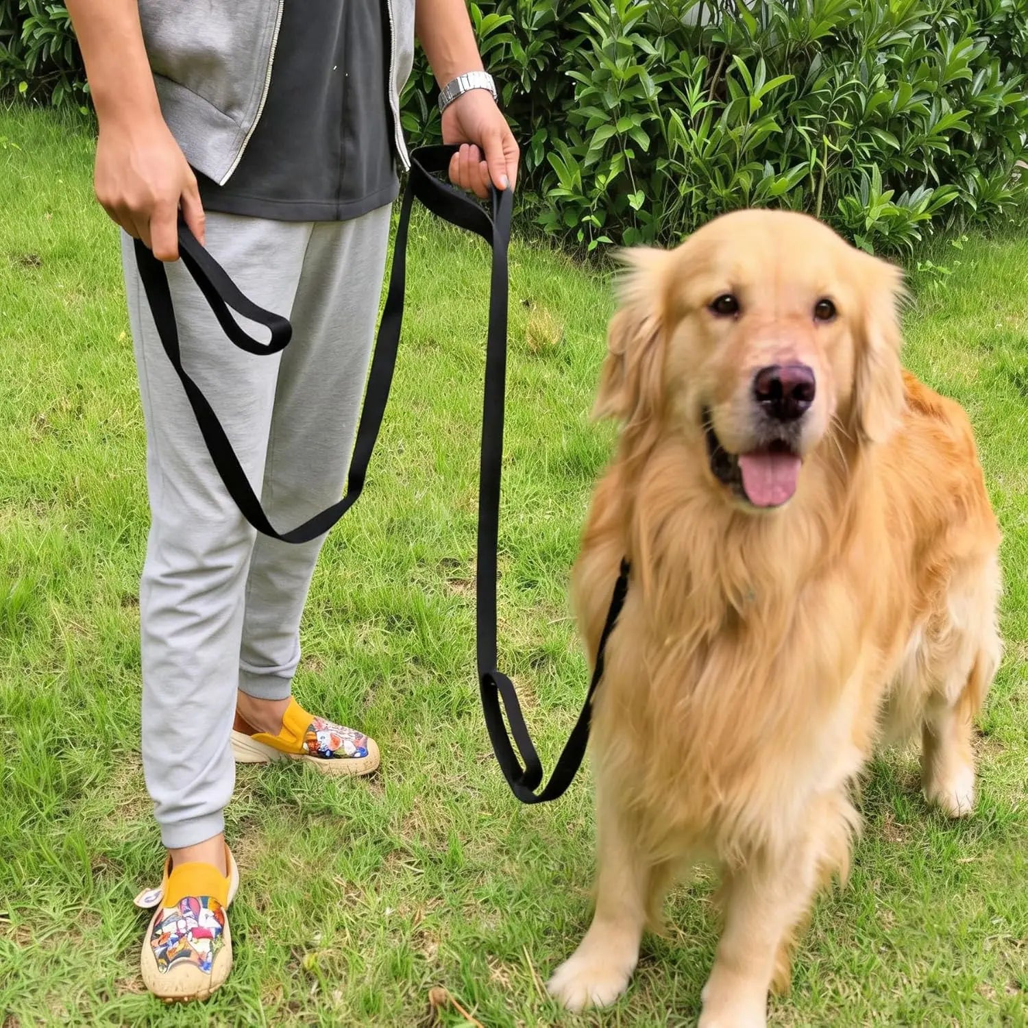 10FT Triple Handle Dog Leash
