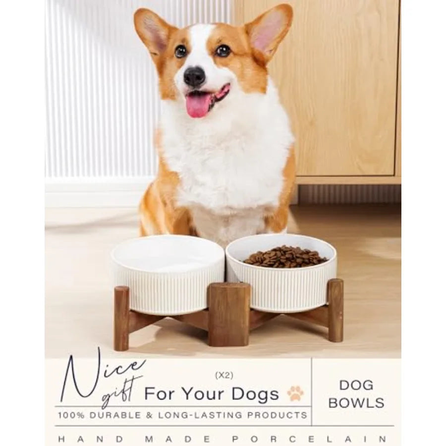 Ceramic Dog Bowls Set with Acacia Wood Stand