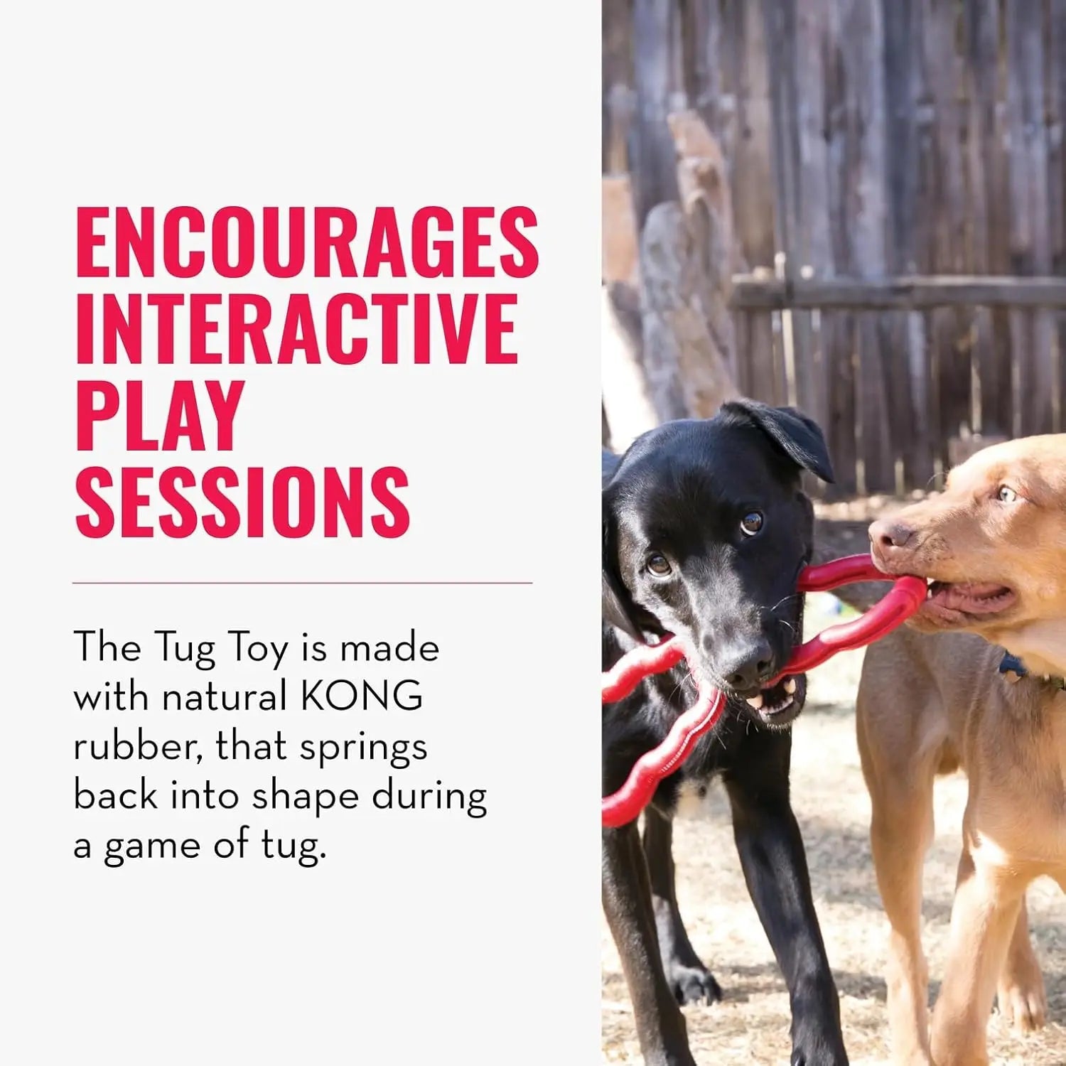 KONG Tug Toy - Dog Supplies for Tug of War -