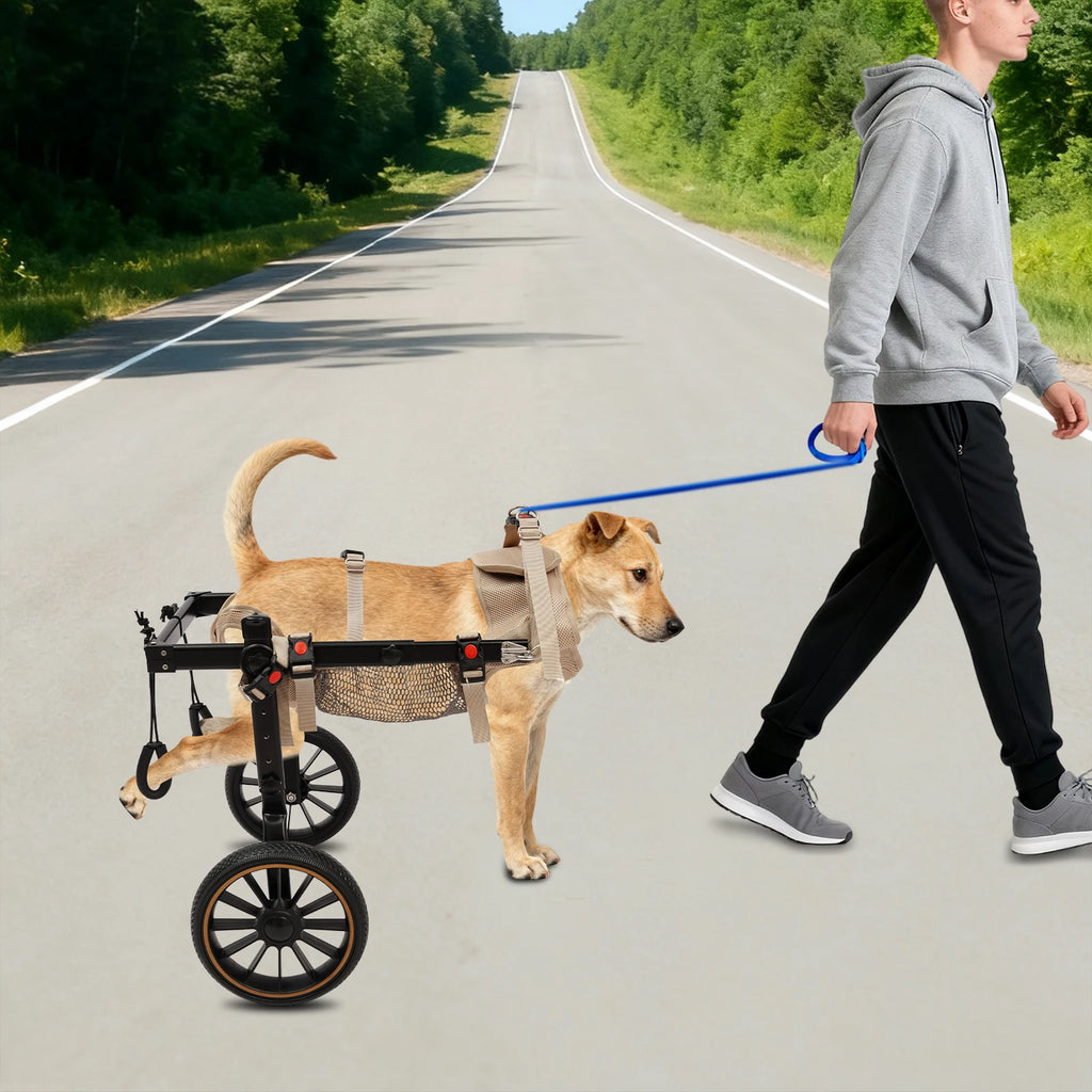 Pet Walking Aid Pet Rehabilitation