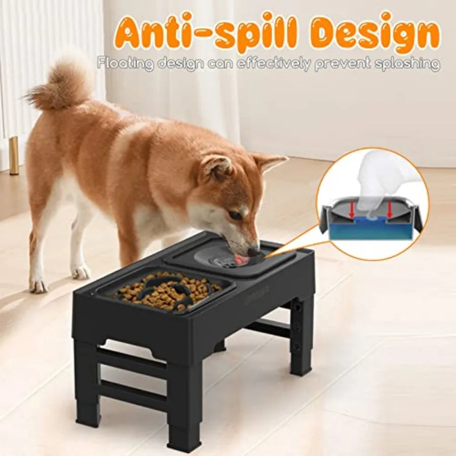 2-in-1 Elevated Dog dish with Height-Adjustable