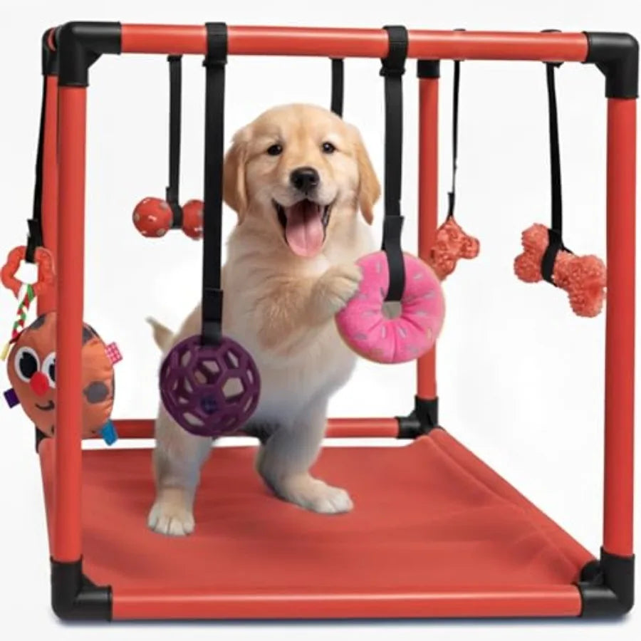 8 Bungee Straps Dog Play Mat