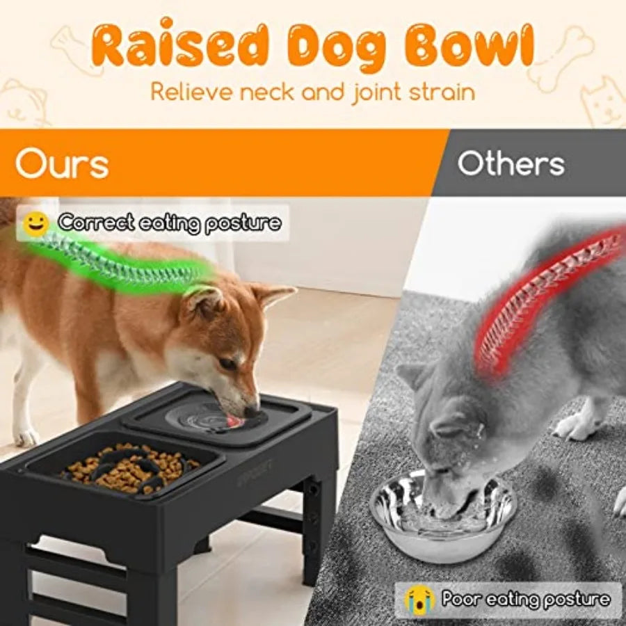 2-in-1 Elevated Dog dish with Height-Adjustable