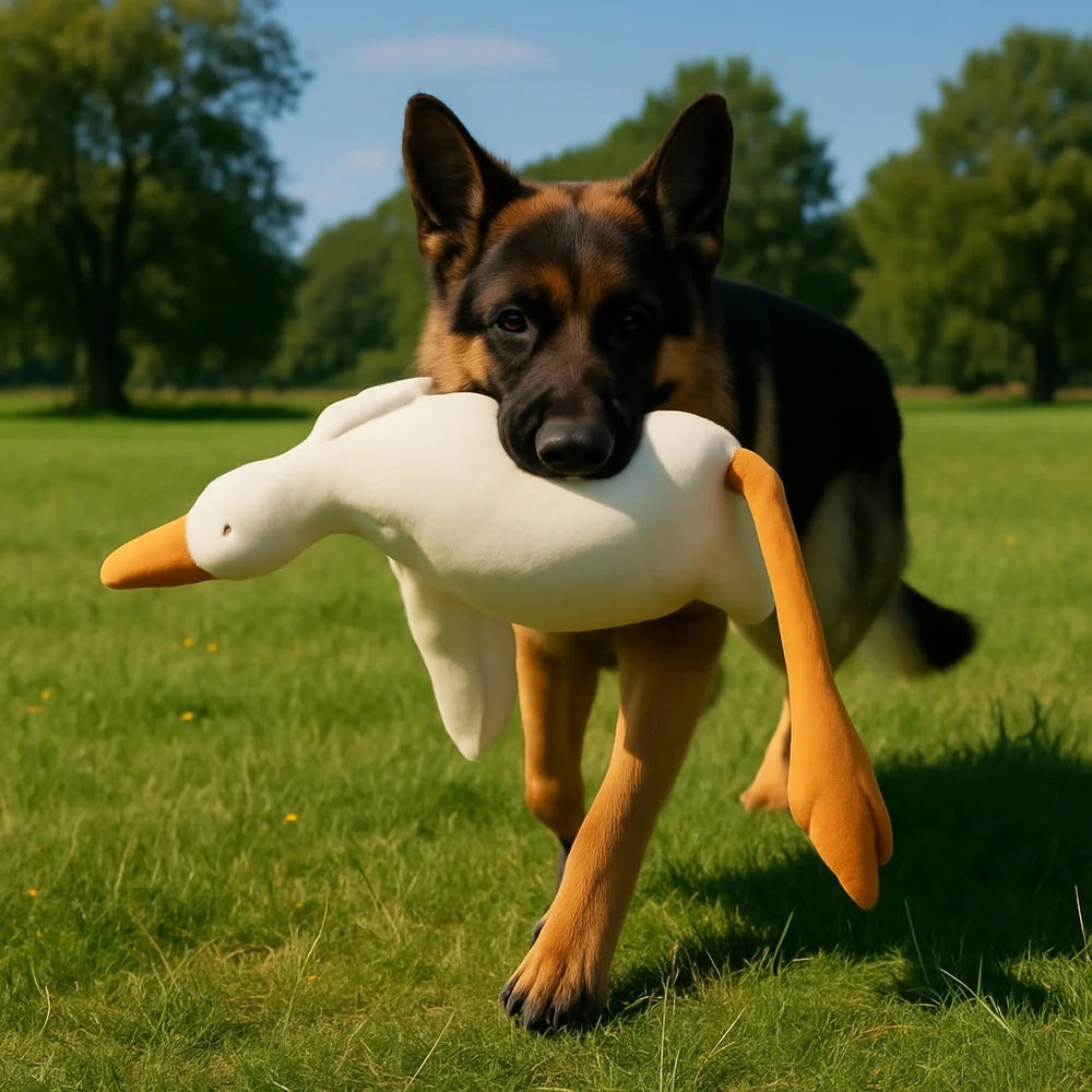 White Realistic  Duck Dog Toy