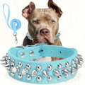 Spiked Dog Collar And Leash Set,